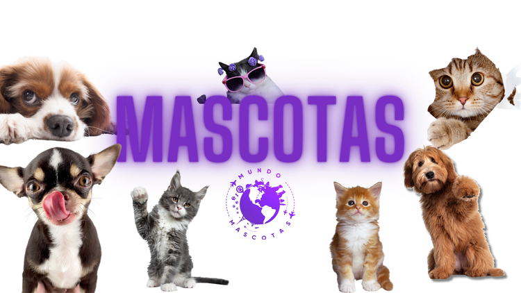 Mascotas