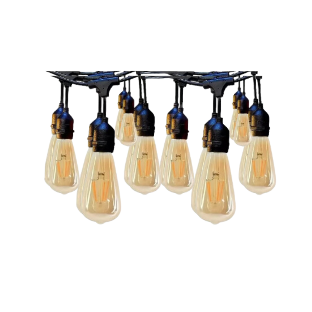 Guirnalda Led edison 6w 10 metros 10 ampolletas